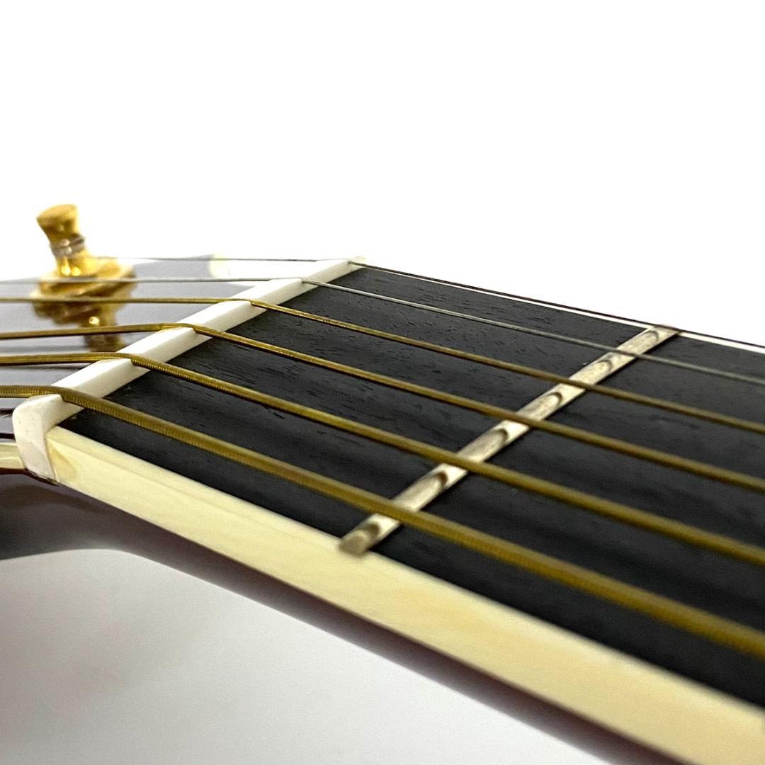 Takamine エレクトリックアコースティックギター 500CUSTOM華道