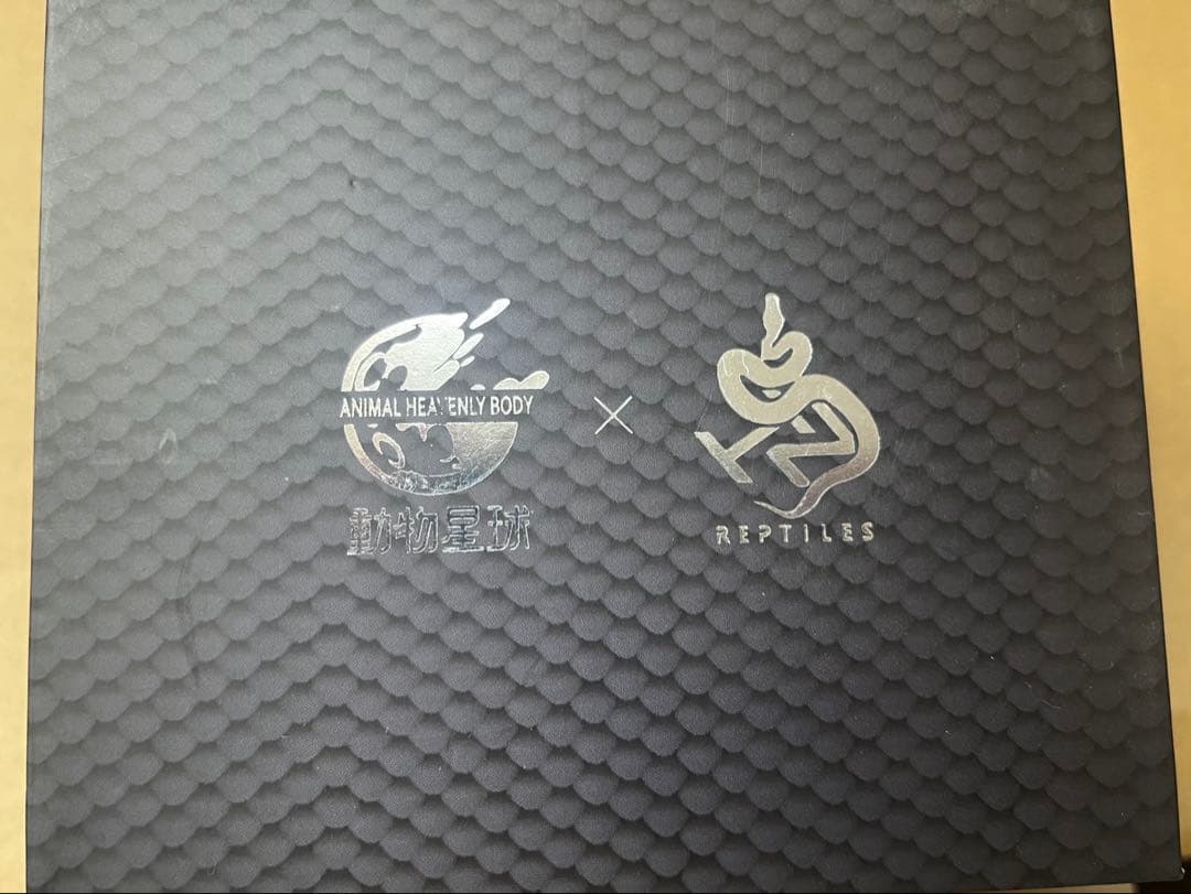 【30体限定！】【動物の惑星】ボールパイソン　フルブラック　アニマルプラネット