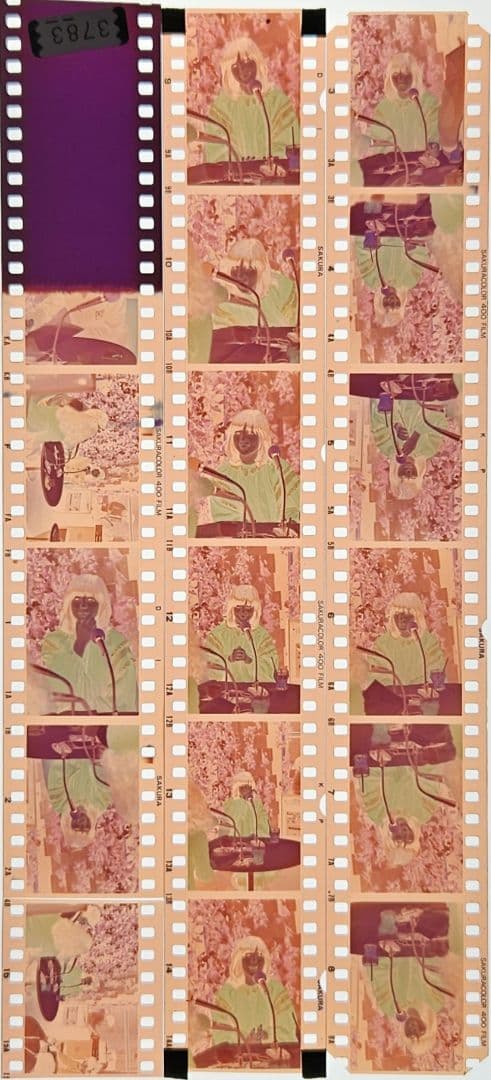 石野真子ネガフィルム16コマ