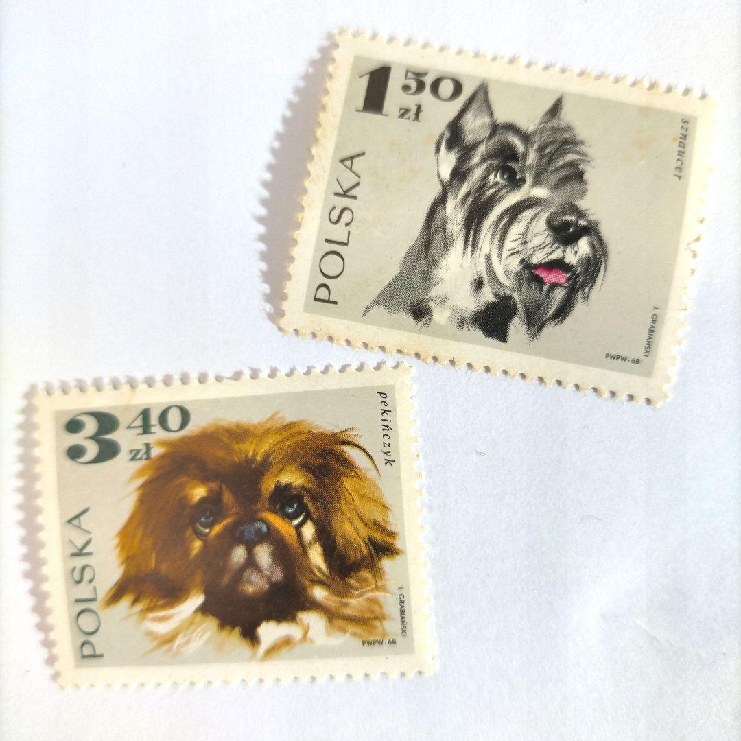 2467 外国切手 ポーランド 1969年 犬々 シーズ 8種 未使用