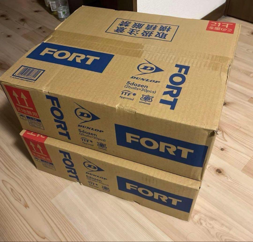 ダンロップフォート2球30缶2箱（計60缶）