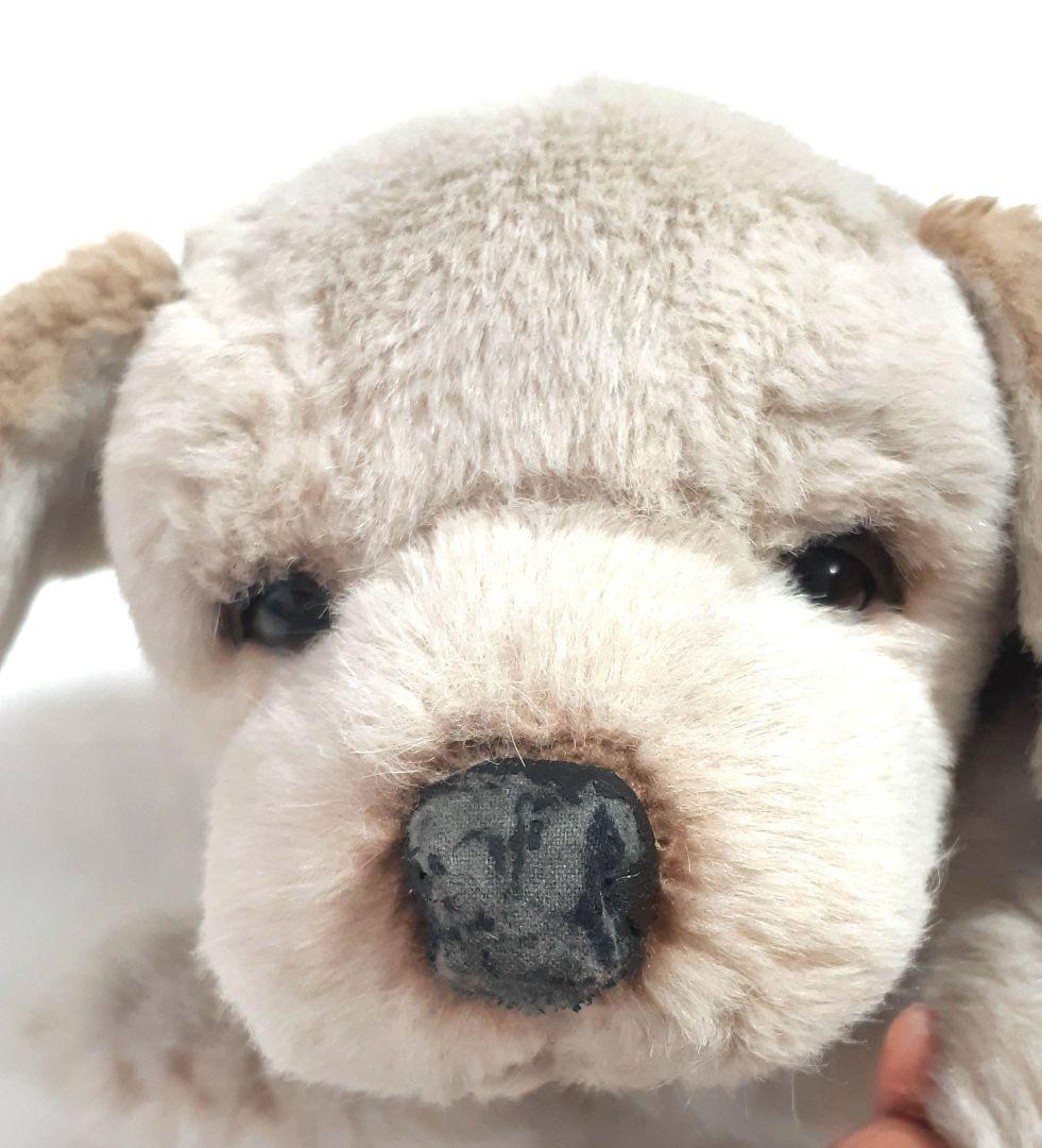 【美品】ジョックライン　JOCKLINE社　当時物　イタリア製　犬　ゴールデン