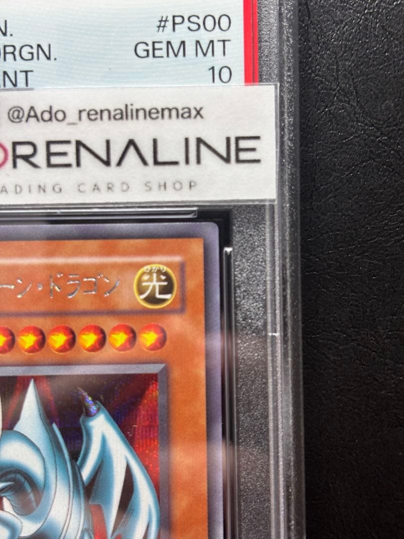 【PSA10】ブルーアイズトゥーンドラゴン シークレット PS