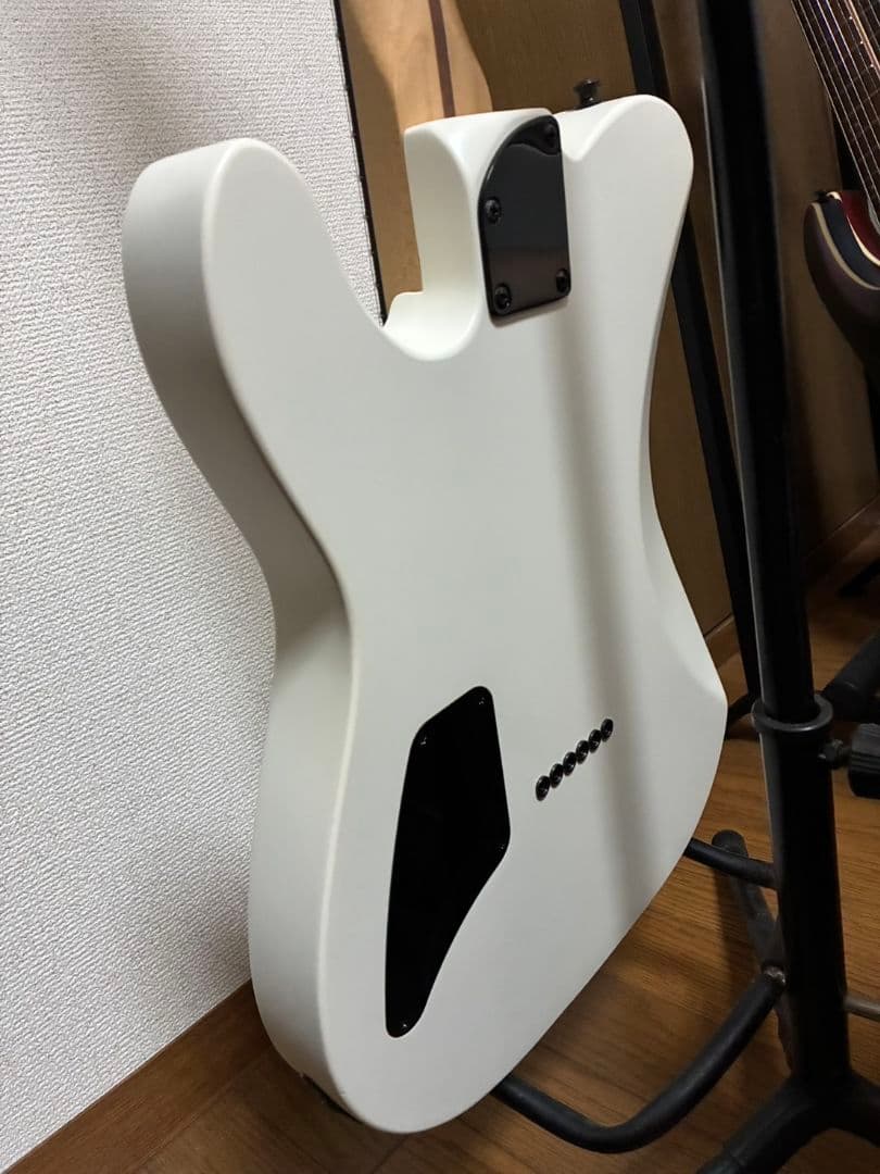 FenderMexicoテレキャスター jimRootモデルお値引きしました