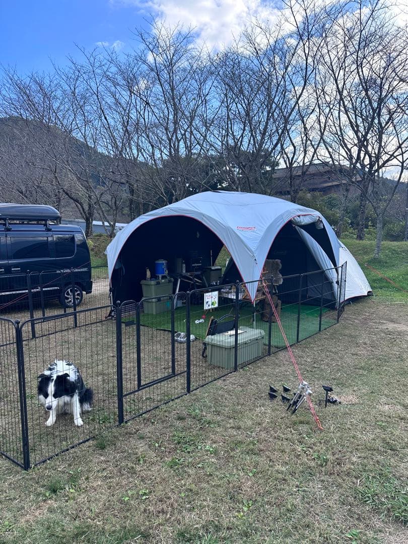 ペットサークル /フェンス ペットケージ 中大型犬用 スチール製 8枚組 ①