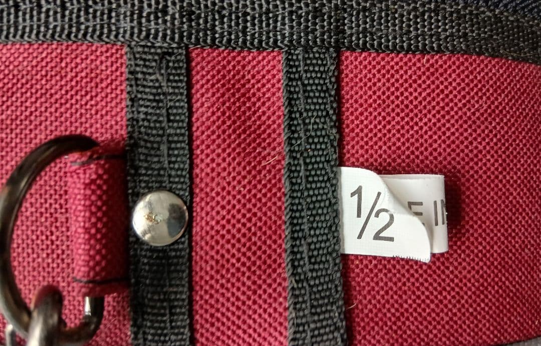 Stentor Studet Ⅱ 1/2 Violin R403522 子供用