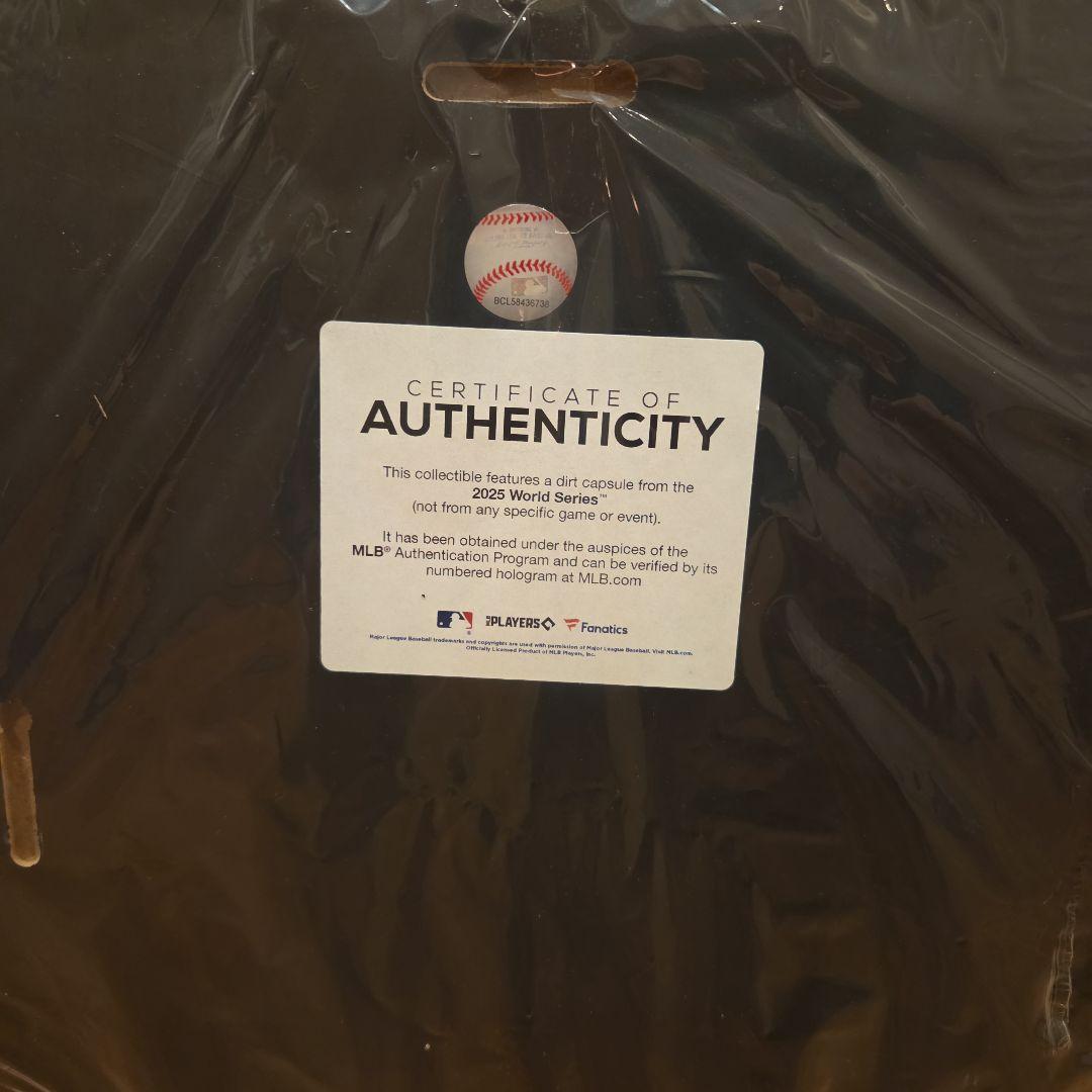 ドジャース　2025 ワールドシリーズ 額装品　試合使用グランドの土付き