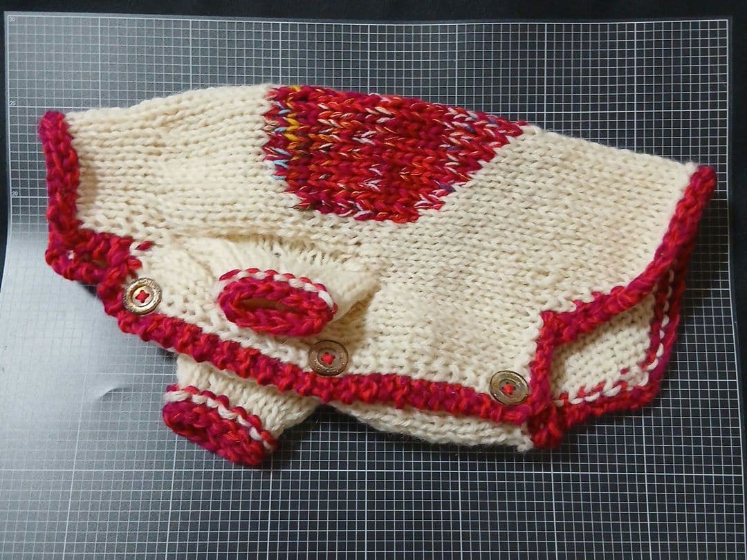 【よっちんさん専用】犬服 犬用 手編み 「ビック❤カウチン」