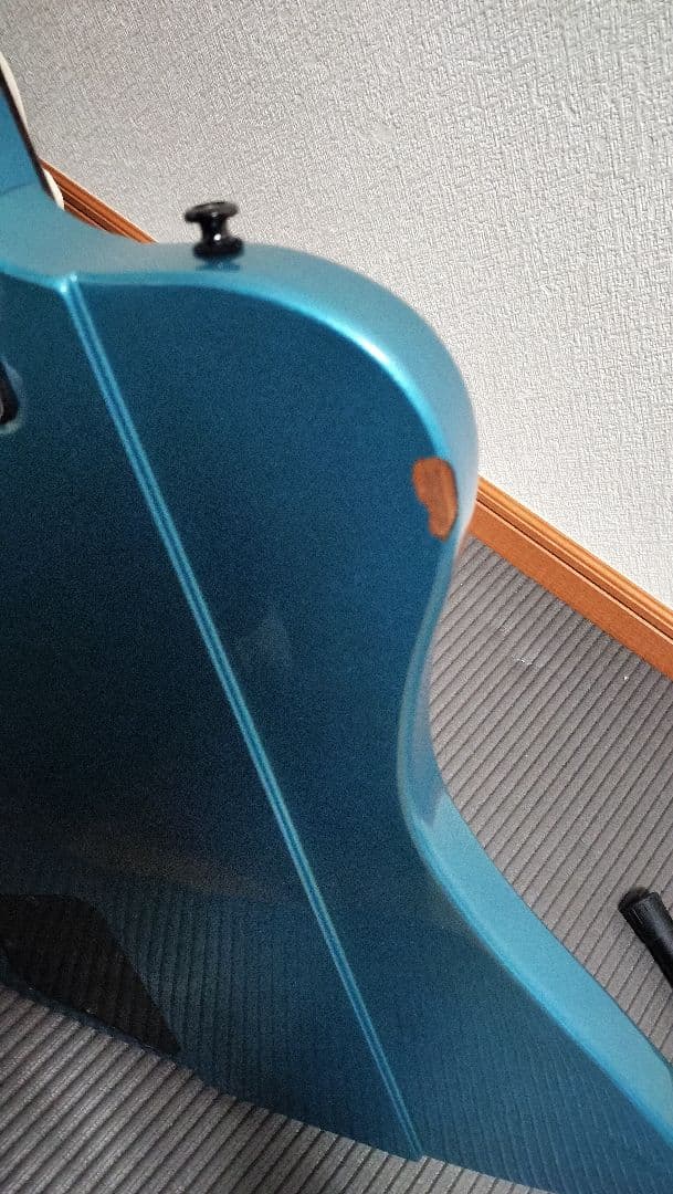 Epiphone Thunderbird 青