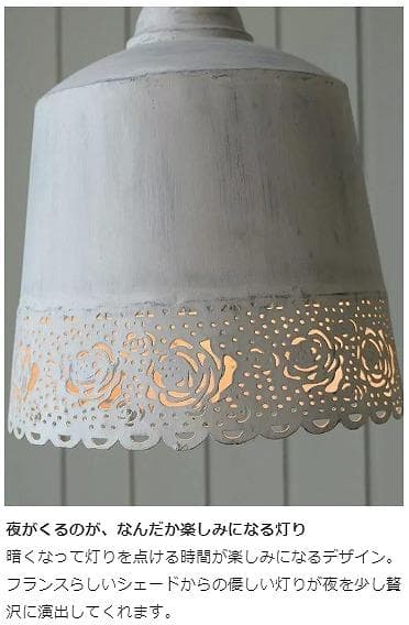 フランスより　浮かびあがる薔薇の模様　Coquecigruesのフロアランプ
