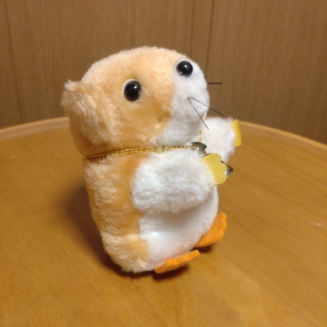 南の虹のルーシー　わんぱくモッシュ