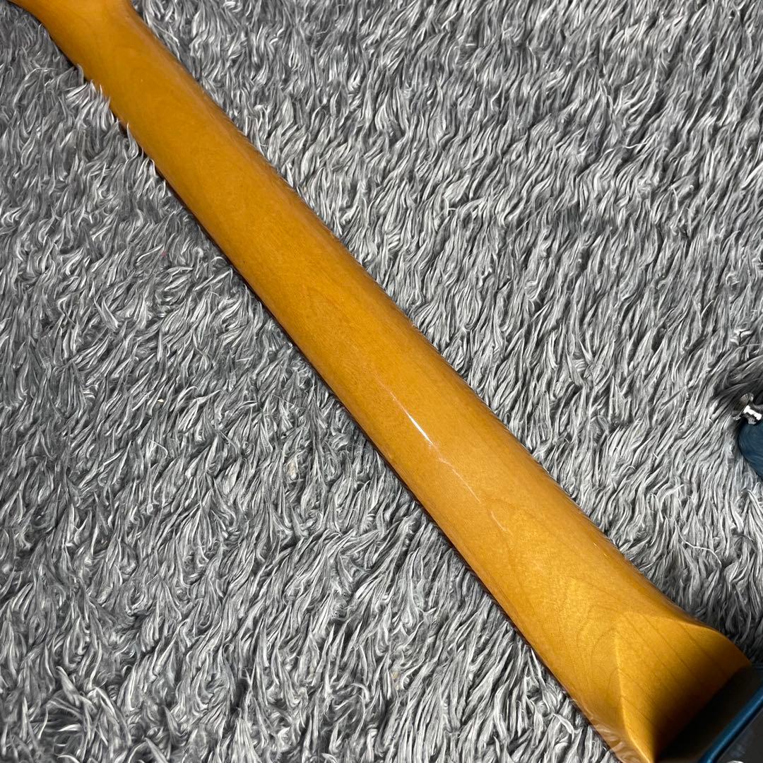 ギター Grassroots G-SE-50R LPB