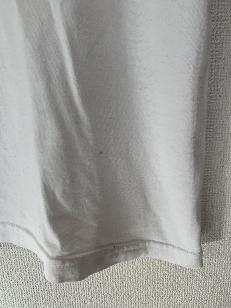 THE BLUE HERB ブルーハーブ 日の丸 Tシャツ Lサイズ