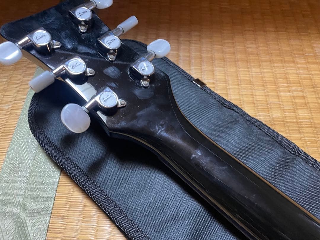 Italia Guitars Mondial ビザール風