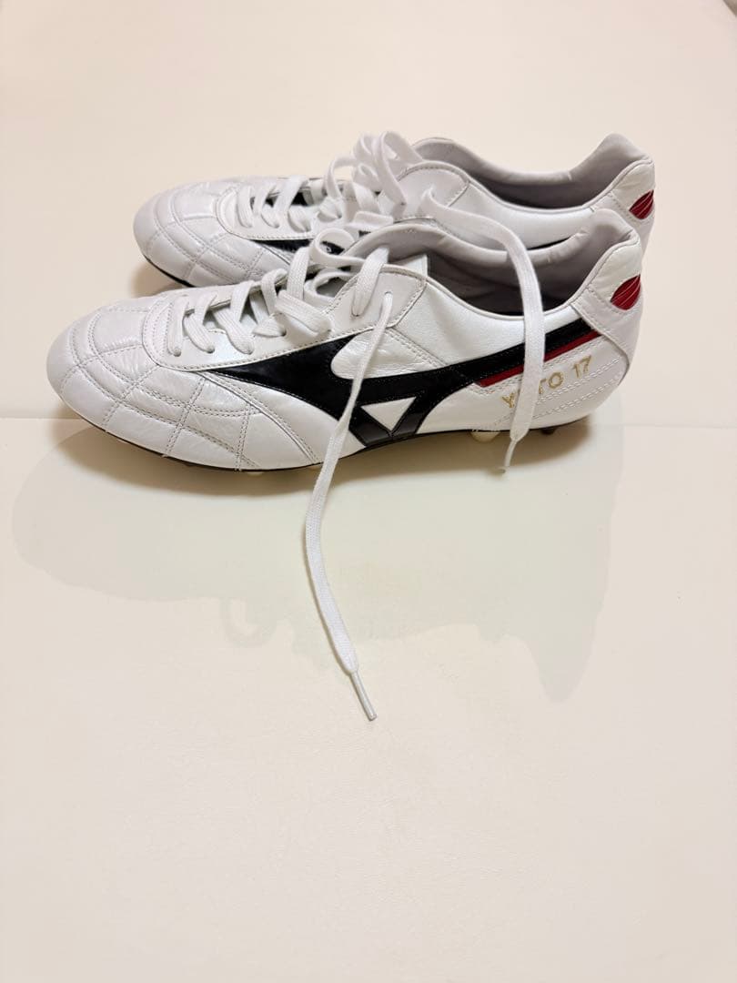 モレリア2クロスステッチ取替式