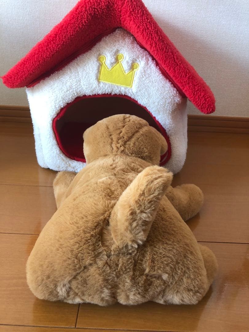 ダッキースター&ダッキーのおうち　　説明書付き　ココチモ