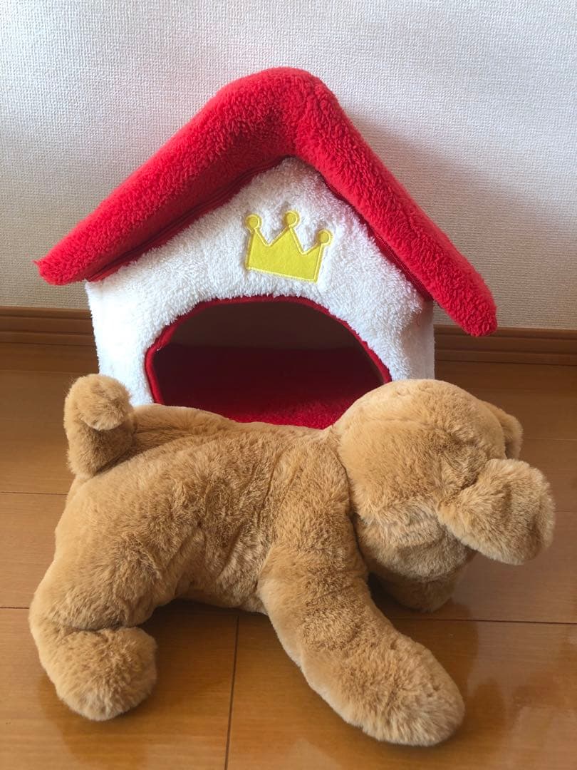 ダッキースター&ダッキーのおうち　　説明書付き　ココチモ