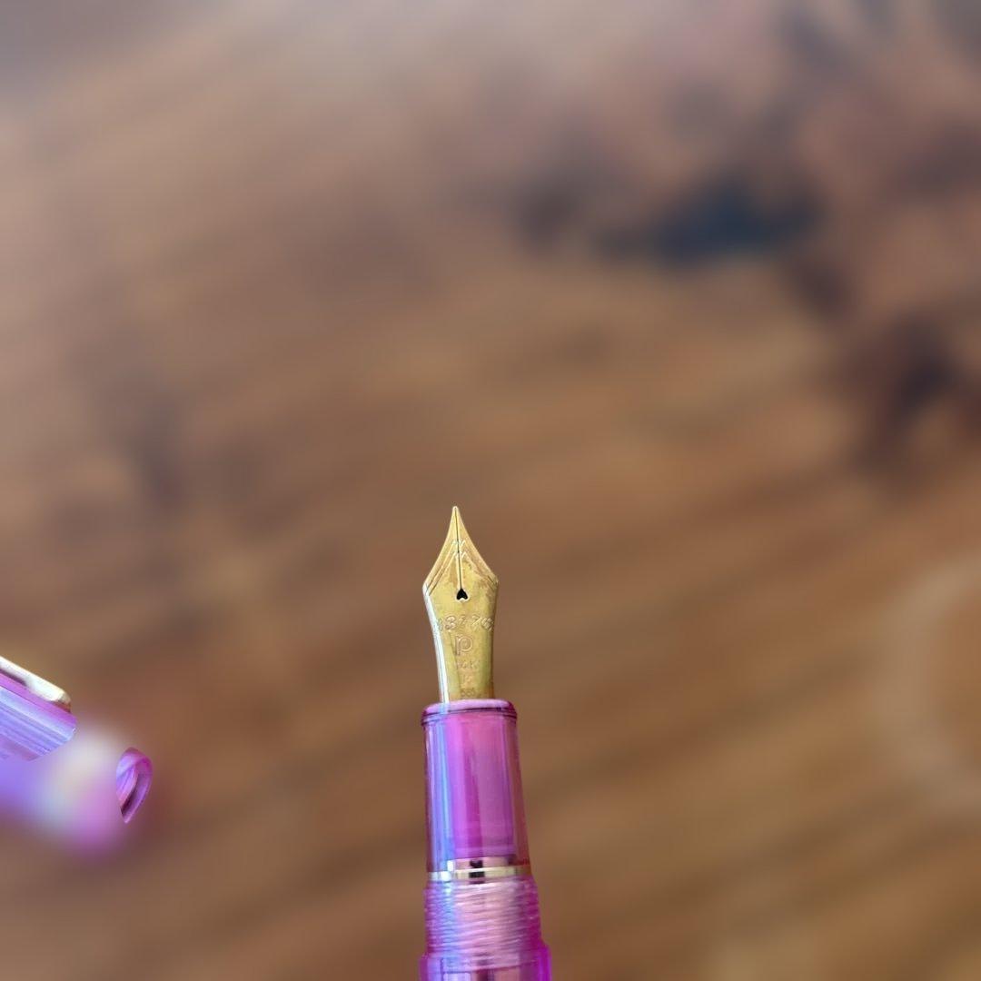 プラチナ万年筆 #3776 センチュリー ニース リラ M クラッシックインク