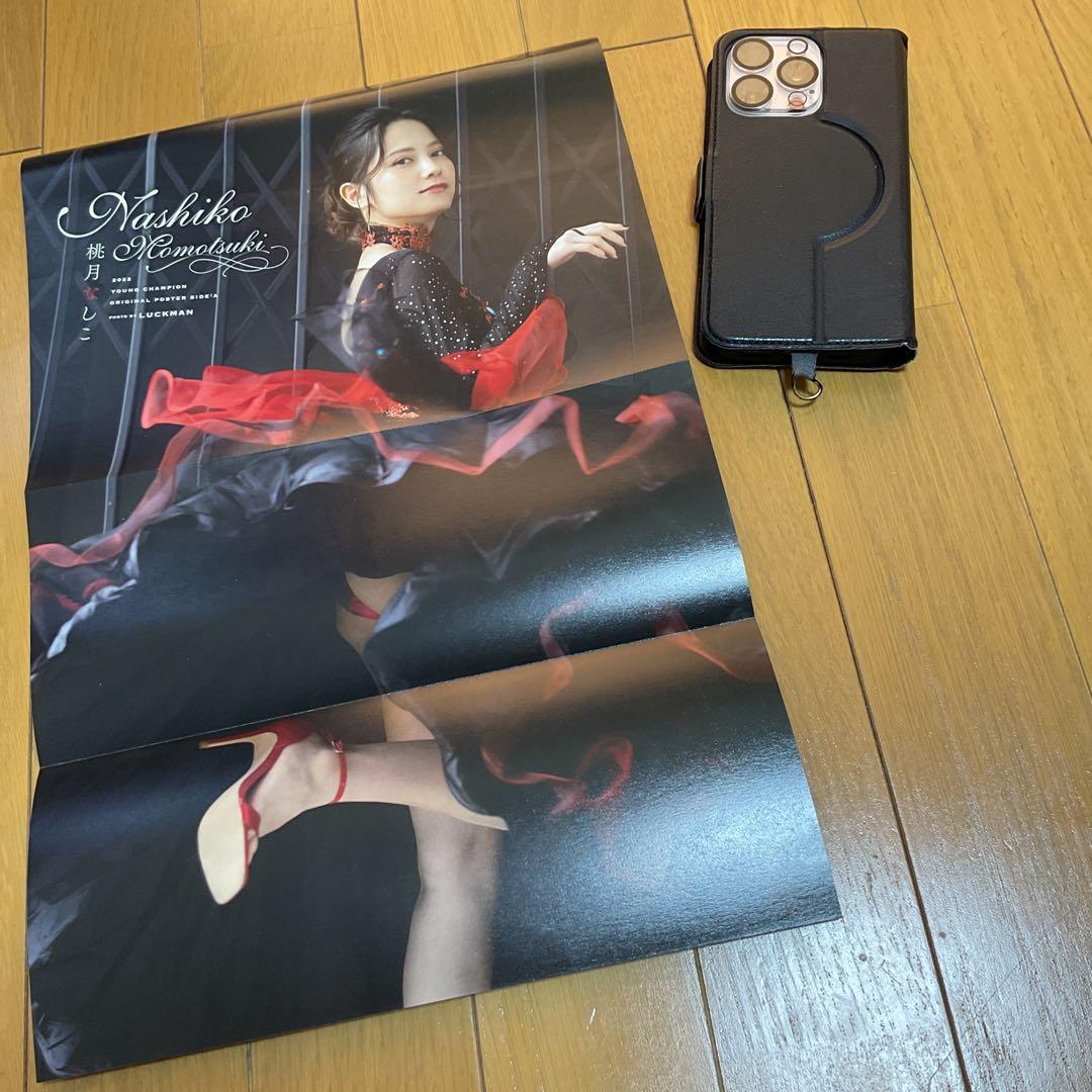 桃月なしこ　両面ポスター6点、切り抜き