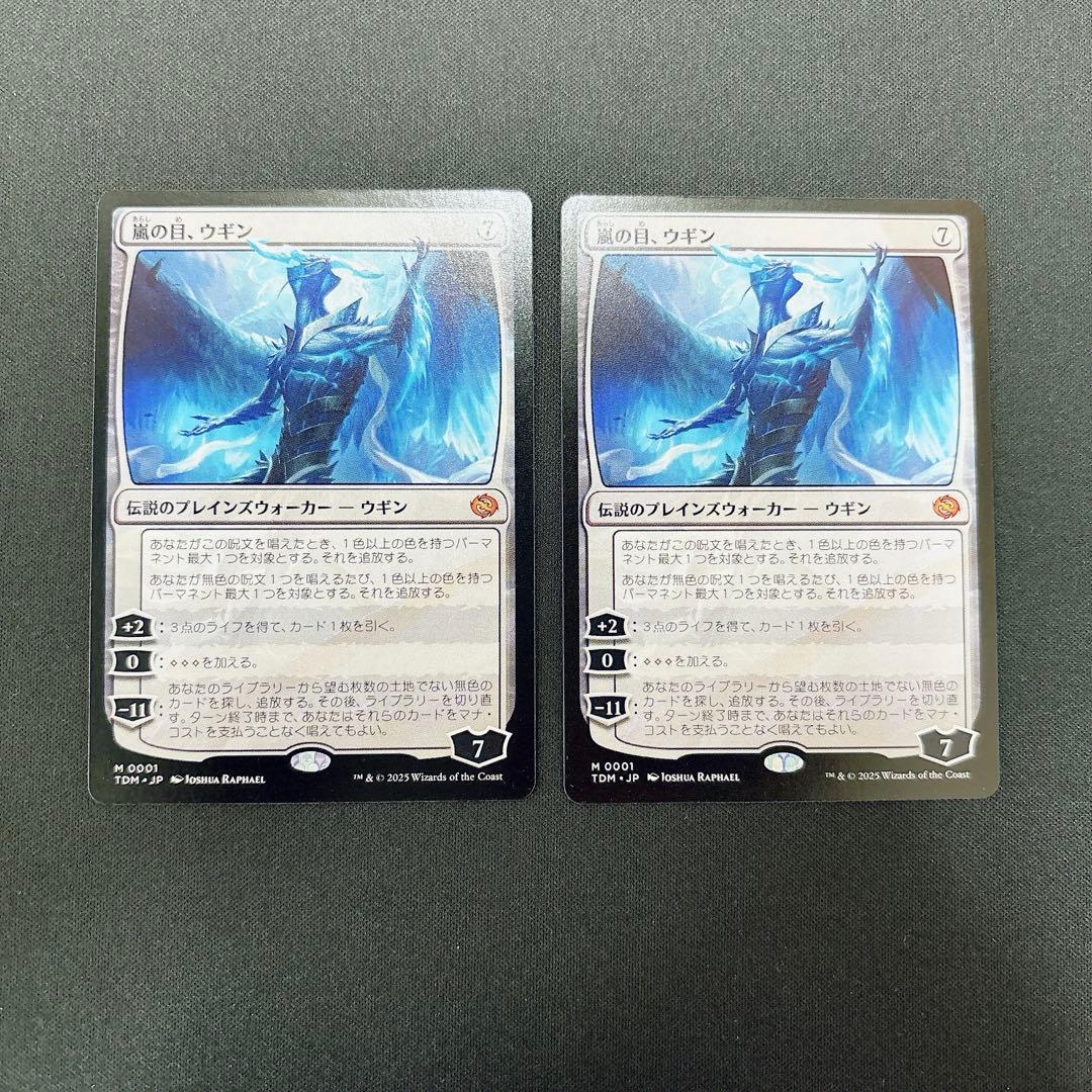 【TDM】 JP 嵐の目、ウギン 2枚セット