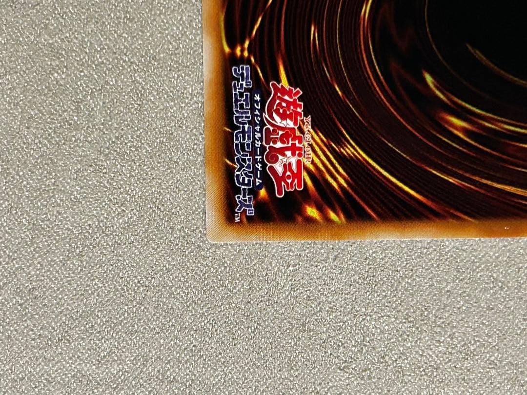 え*る様 【準美品】遊戯王　ビッグ•シールド•ガードーナー　1枚　レリーフ　DL