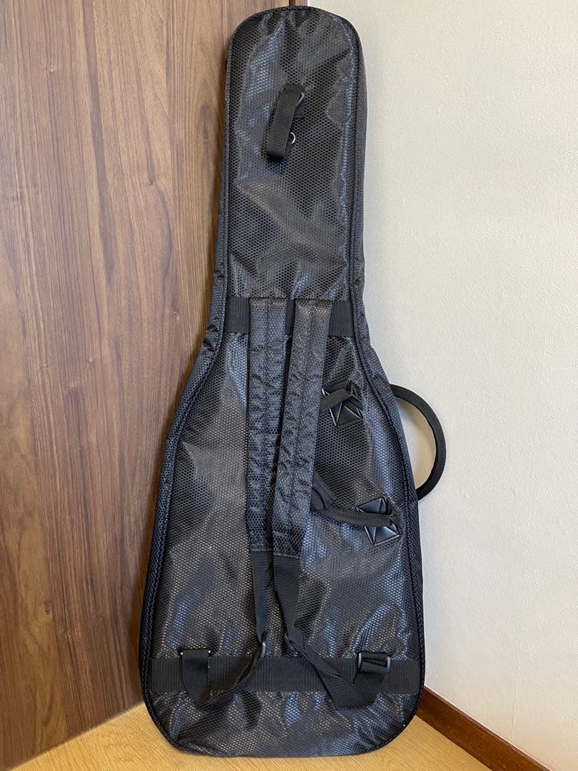 PRS(Paul Reed Smith) ポールリードスミス SE エレキギター