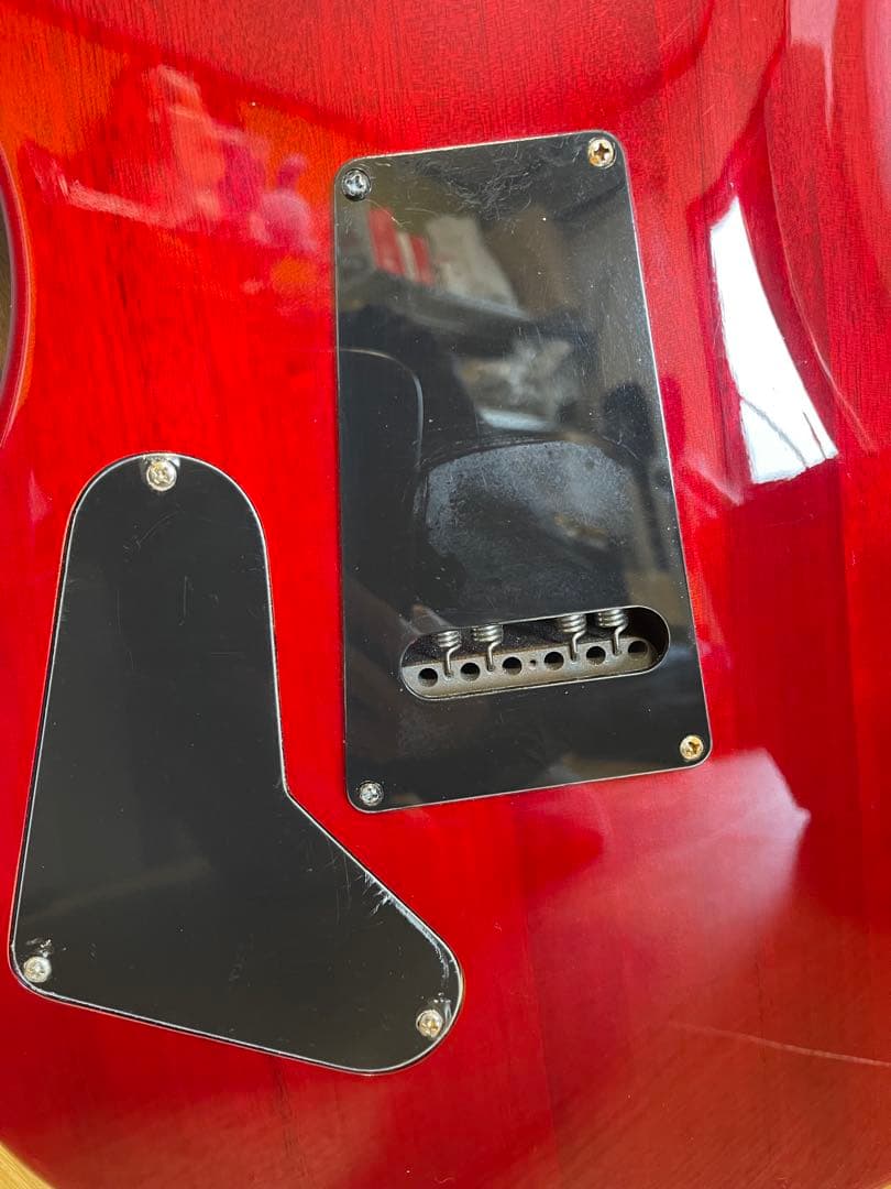 PRS(Paul Reed Smith) ポールリードスミス SE エレキギター