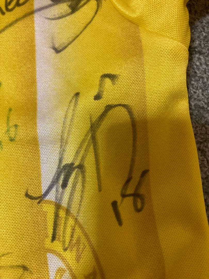 ⭐︎サイン入り柏レイソルレプリカユニフォーム