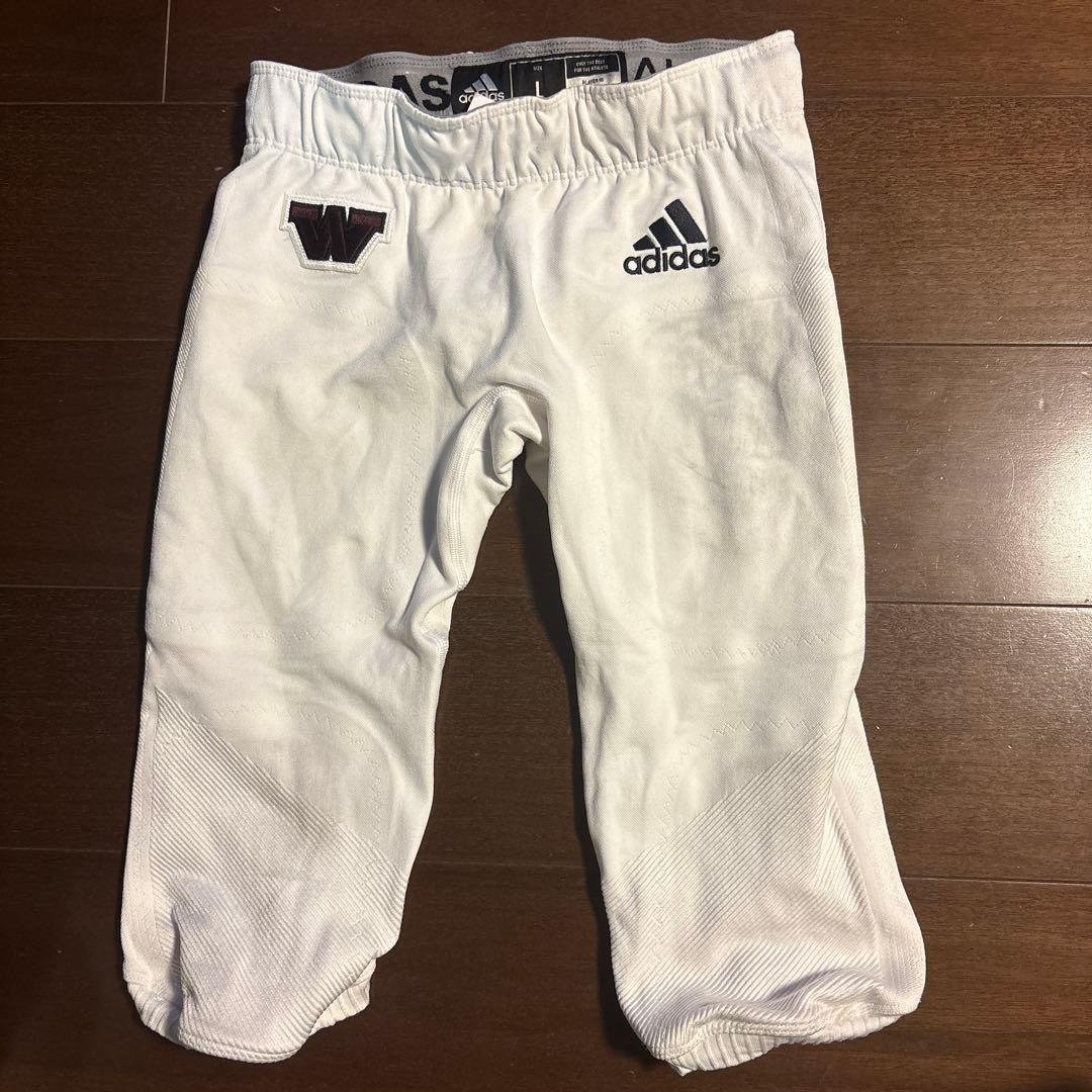 早稲田大学アメフト部　bigbears 試合用adidasフッパン　L