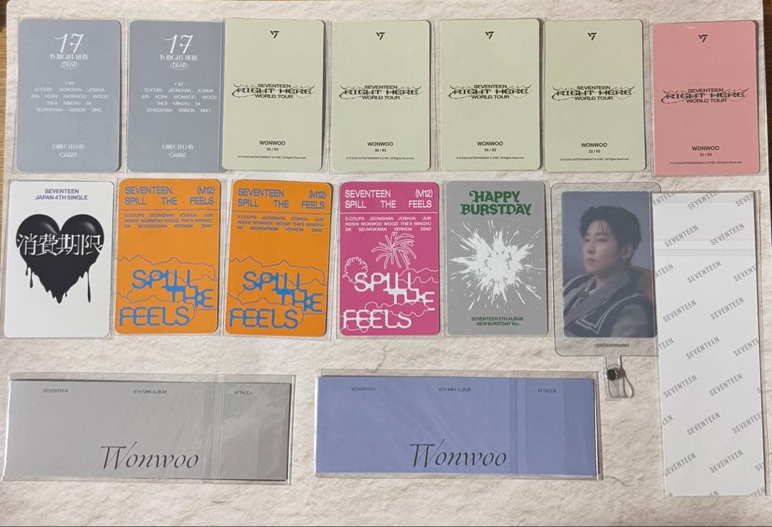 SEVENTEEN ウォヌ トレカ グッズ まとめ売り