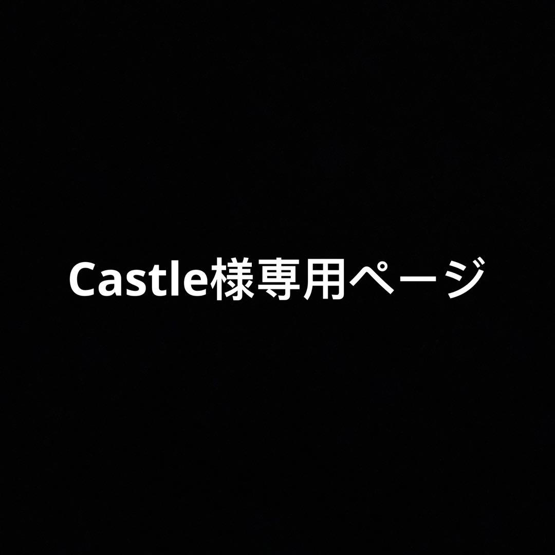 Castleページ