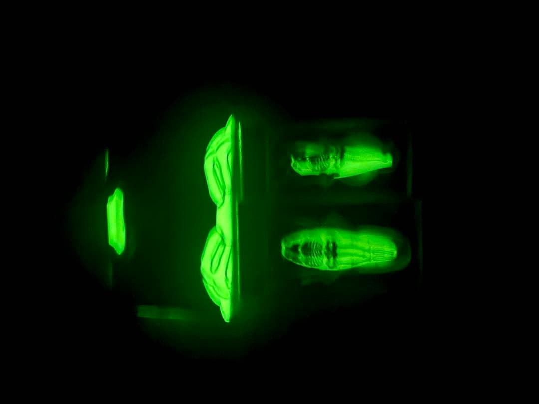 Raid Japan × Snipeer dodge deka dodge