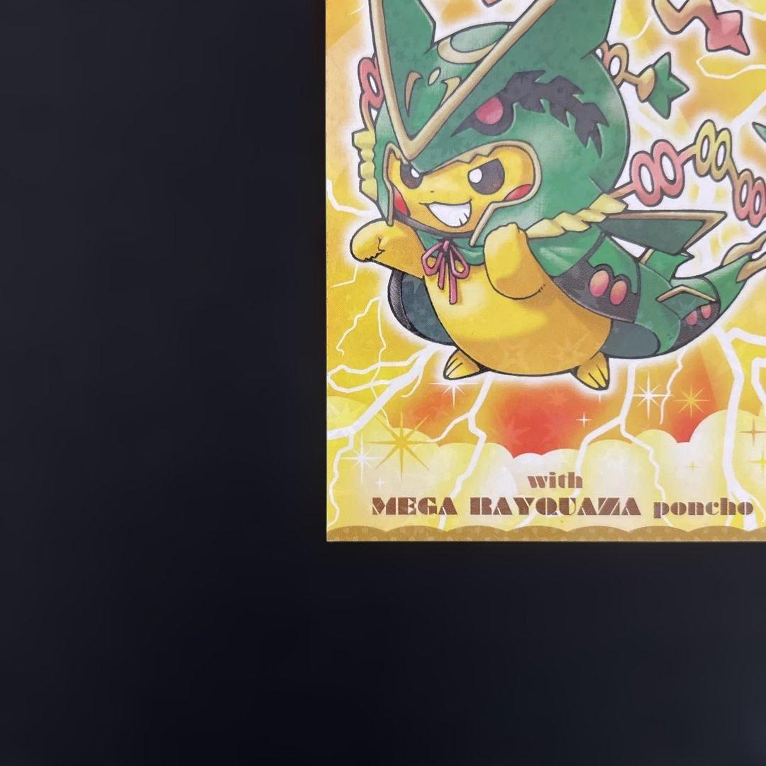 ポンチョを着たピカチュウ　名刺カード　メガレックウザ　カードファイルセット
