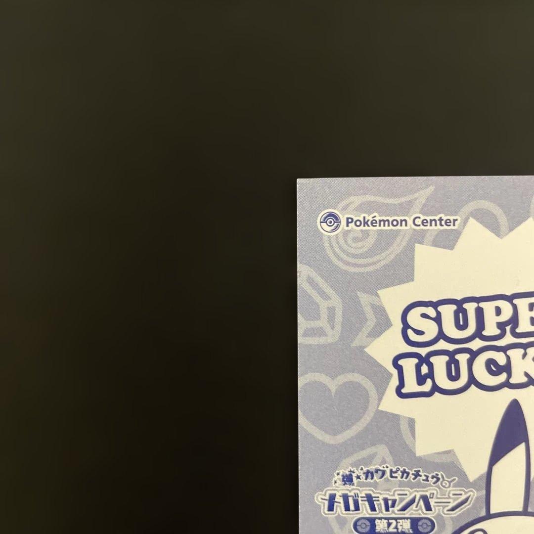 ポンチョを着たピカチュウ　名刺カード　メガレックウザ　カードファイルセット