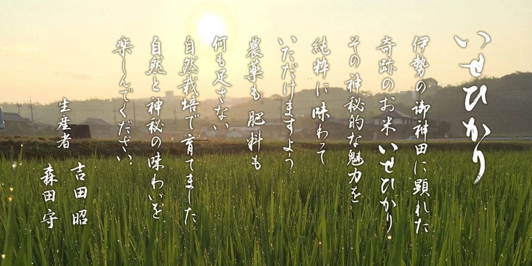 自然栽培【イセヒカリ】白米20kg[5kg×4袋]新米 無農薬無施肥の自然栽培米