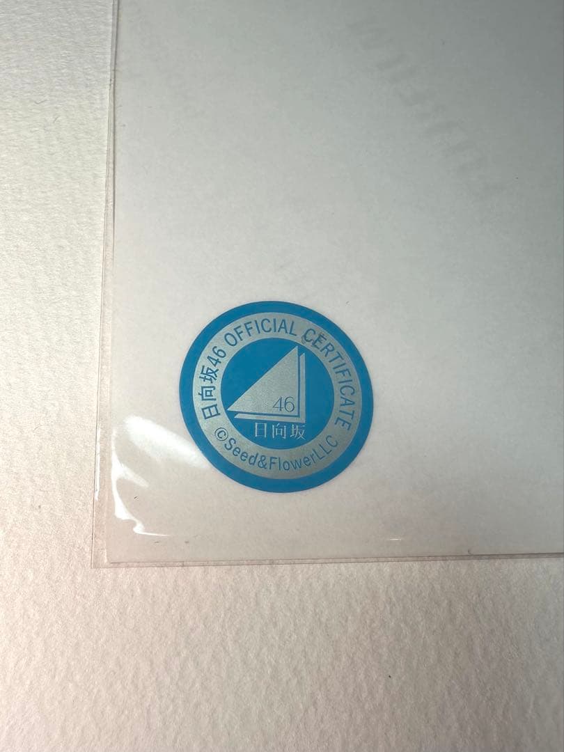 平尾帆夏 直筆サイン サンタ衣装 生写真 日向坂46