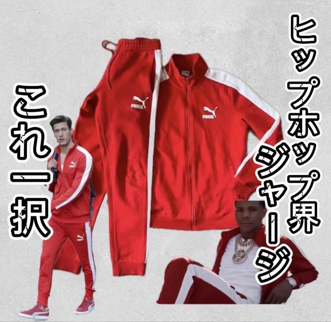 PUMA セットアップ