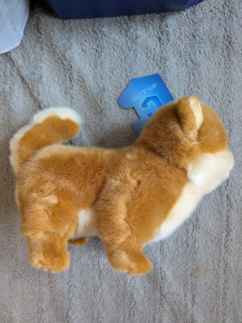 ((激レア))櫻坂46 しかくに