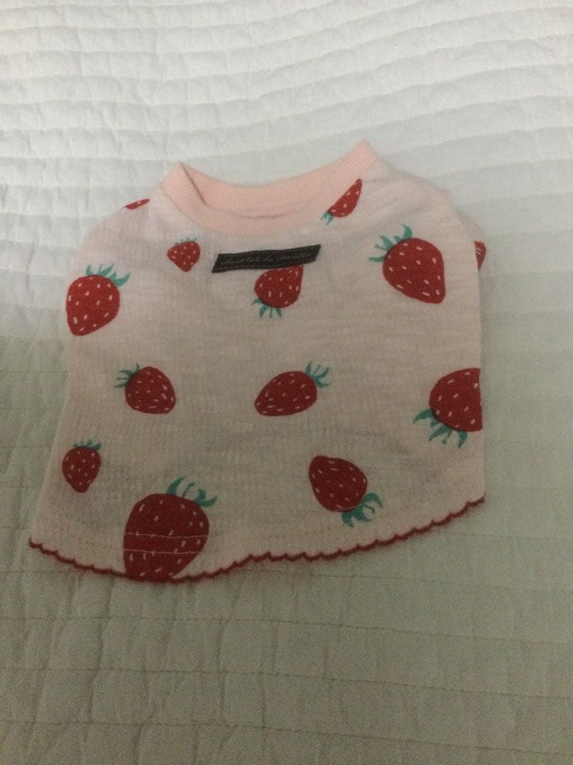 アトリエgg Tシャツ