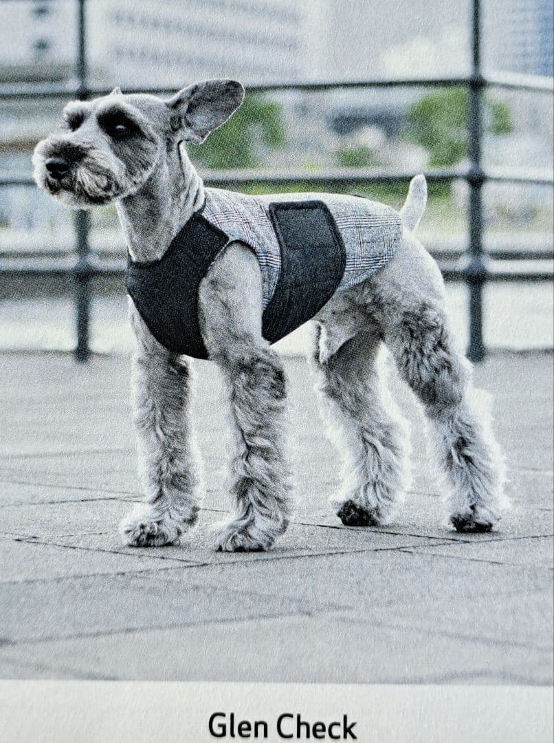 アルファアイコン　エアライナー　LL