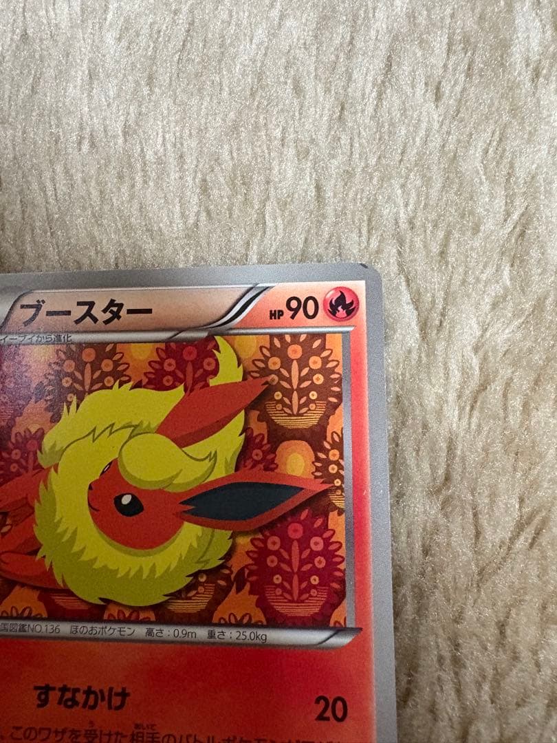 ブースター BW-P 183/BW-P イーブイコレクション