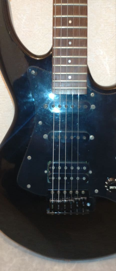 Aria Pro II アリアプロ2　Black Dog