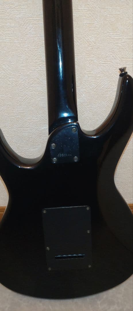 Aria Pro II アリアプロ2　Black Dog