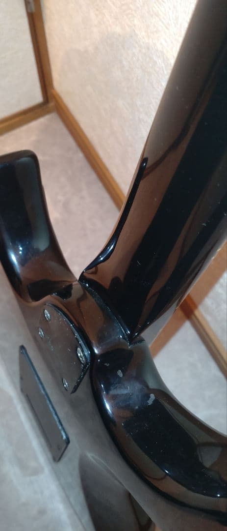 Aria Pro II アリアプロ2　Black Dog