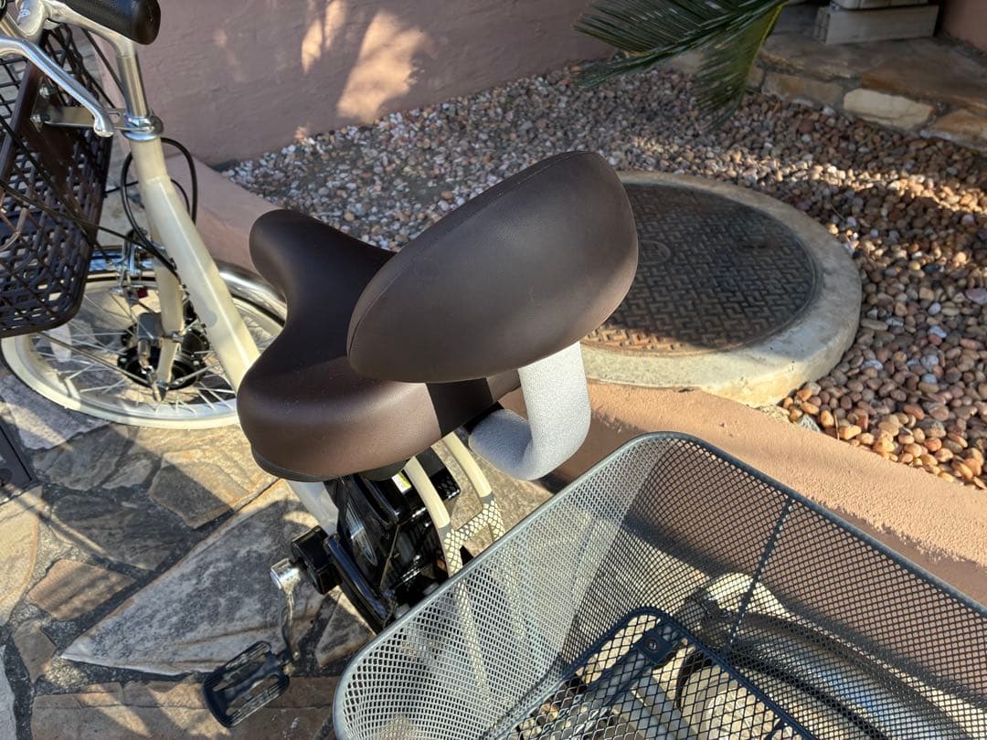 2025年3月購入品⭐︎電動アシスト自転車peltech tdr-163三輪自転車