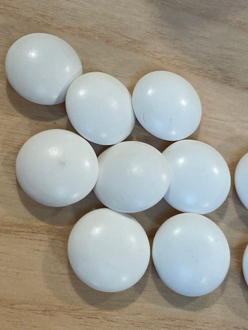 【希少•美品】本那智黒・日向本蛤 碁石セット（布袋入り／32号相当／180個超）