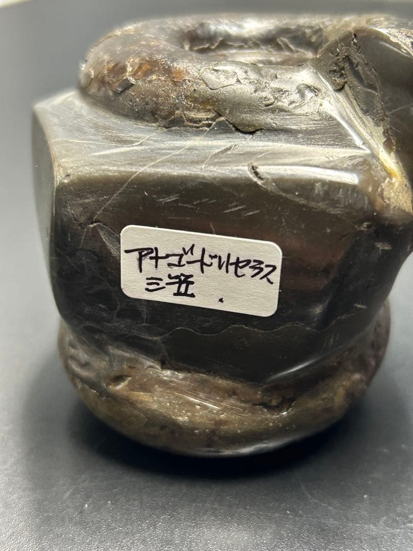 アンモナイト化石　北海道　三笠　アナゴードリセラス