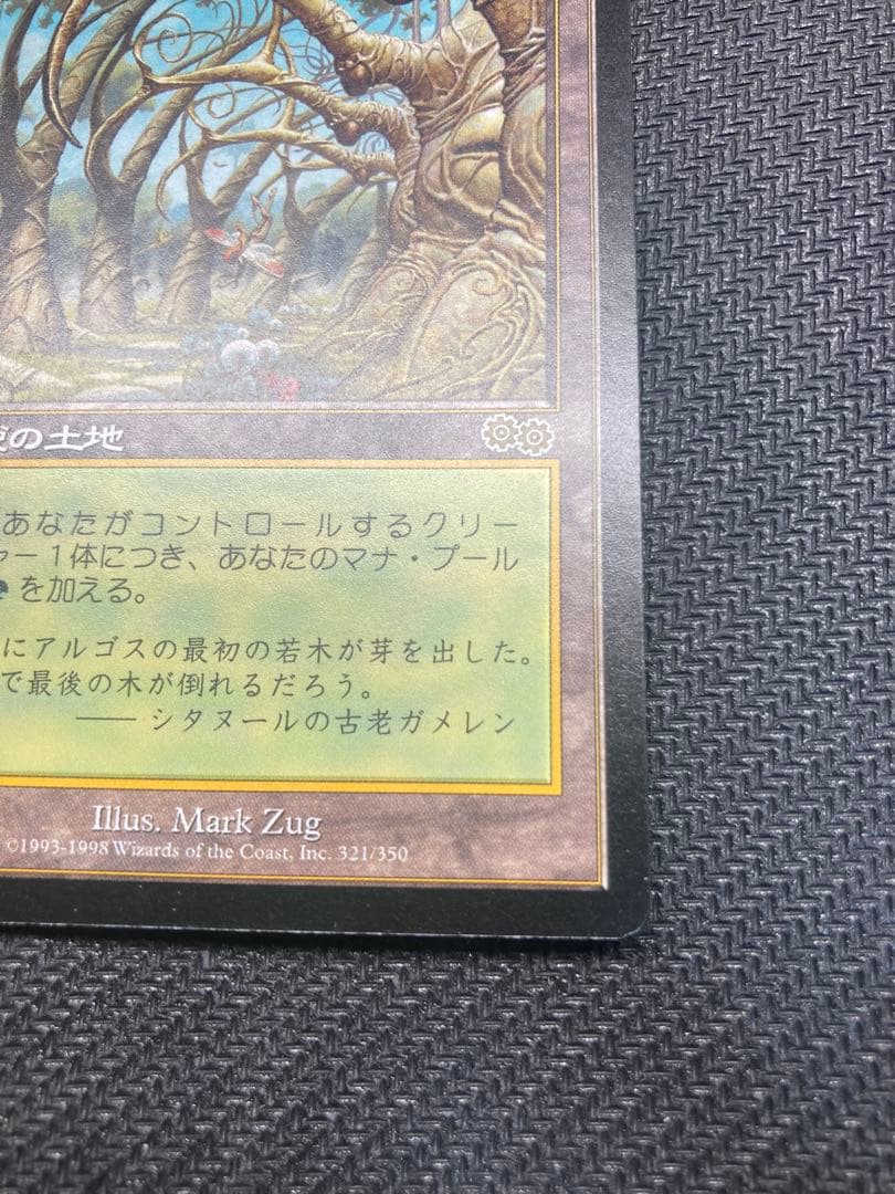 C*a様 ガイアの揺籃の地　Gaea's Cradle 日本語版1枚　MTG