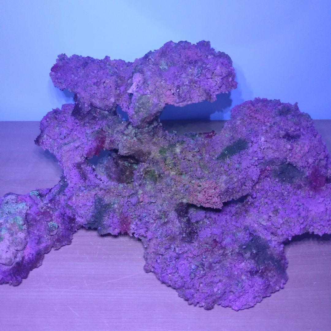 【光る新商品】アク抜き不要 人工ライブロック 60cm海水水槽用 レプリカ 蛍光