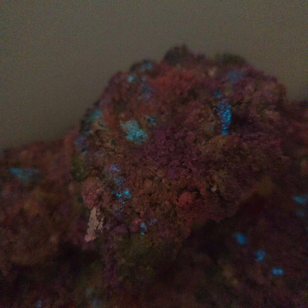 【光る新商品】アク抜き不要 人工ライブロック 60cm海水水槽用 レプリカ 蛍光